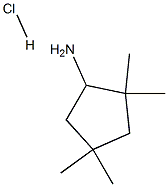 2,2,4,4-TetraMethylcyclopentanaMine hydrochloride