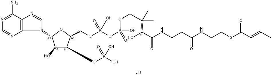 CROTONOYL COENZYME A TRILITHIUM SALT