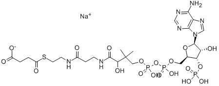 SUCCINYL COENZYME A SODIUM SALT