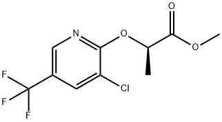 (R)-2-(3-Chloro-5-trifluoroMethyl-pyridin-2-yloxy)-propionic acid Methyl ester