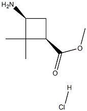 cis-Methyl 3-aMino-2,2-diMethylcyclobutanecarboxylate hydrochloride