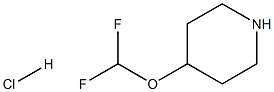 4-(DifluoroMethoxy)piperidine hydrochloride