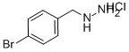 4-BroMobenzylhydrazine hydrochloride