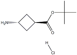 tert-butyl trans-3-aminocyclobutane-1-carboxylate hydrochloride