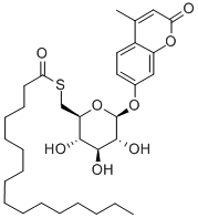 4-METHYLUMBELLIFERYL 6-THIO-PALMITATE-B-D-GLUCOPYRANOSIDE