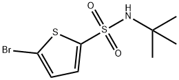 5-Bromo-N-tert-butyl-2-thiophenesulfonamide