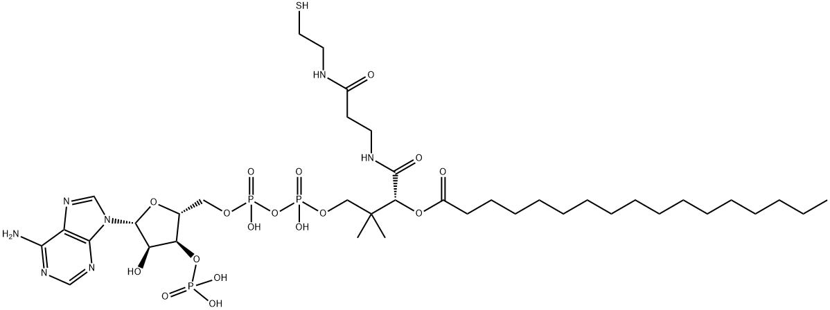 N-HEPTADECANOYL COENZYME A LITHIUM SALT