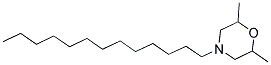 TRIDEMORPH