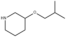 3-Isobutoxy-piperidine