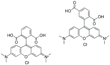 5(6)-Carboxytetramethylrhodamine 