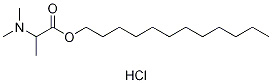 Dodecyl 2-(N,N-dimethylamino)propionate Hcl